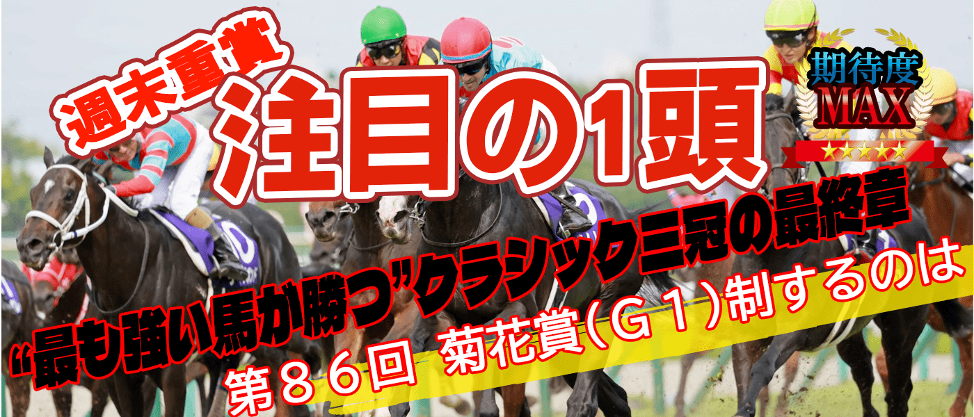 毎週水曜日更新